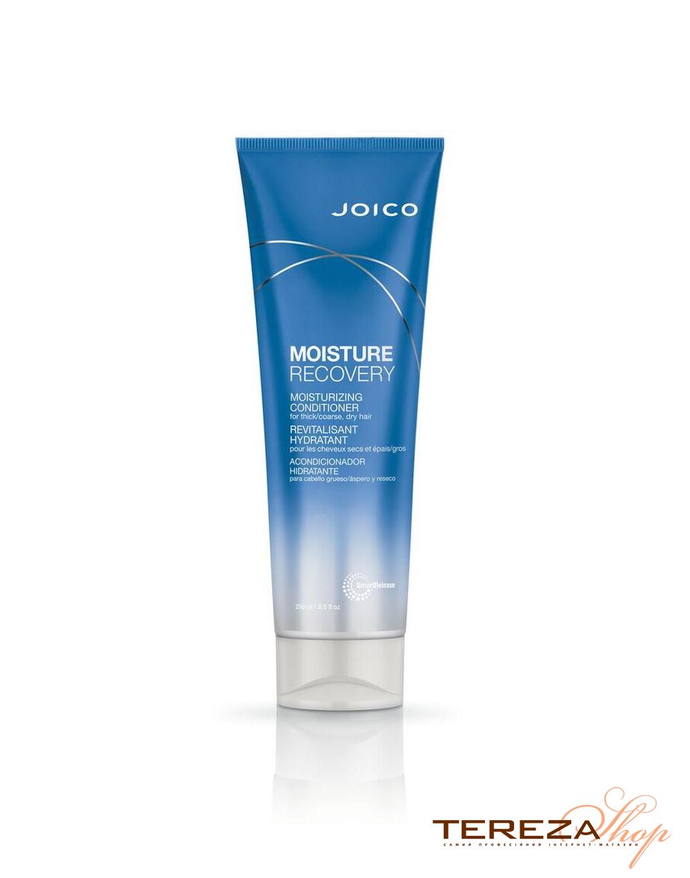 MOISTURE RECOVERY CONDITIONER 250ml JOICO MOISTURE RECOVERY CONDITIONER 250ml JOICO | Tereza Shop