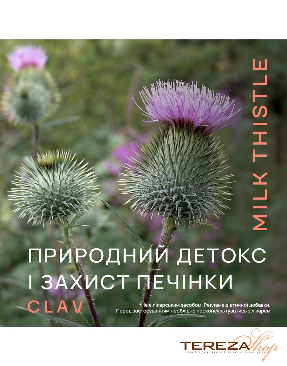 Bio Mariendistel Komplex CLAV | Tereza Shop